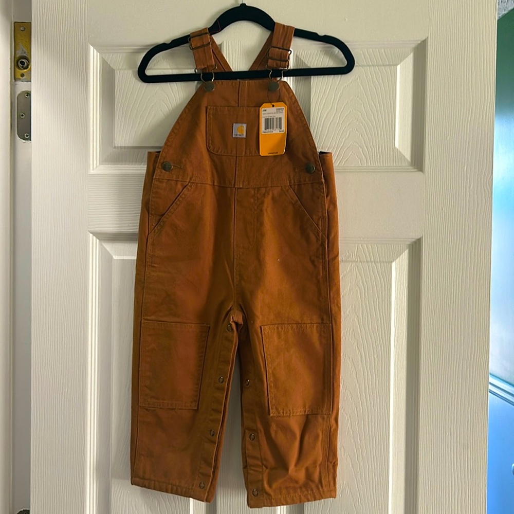 NWT Carhartt overalls